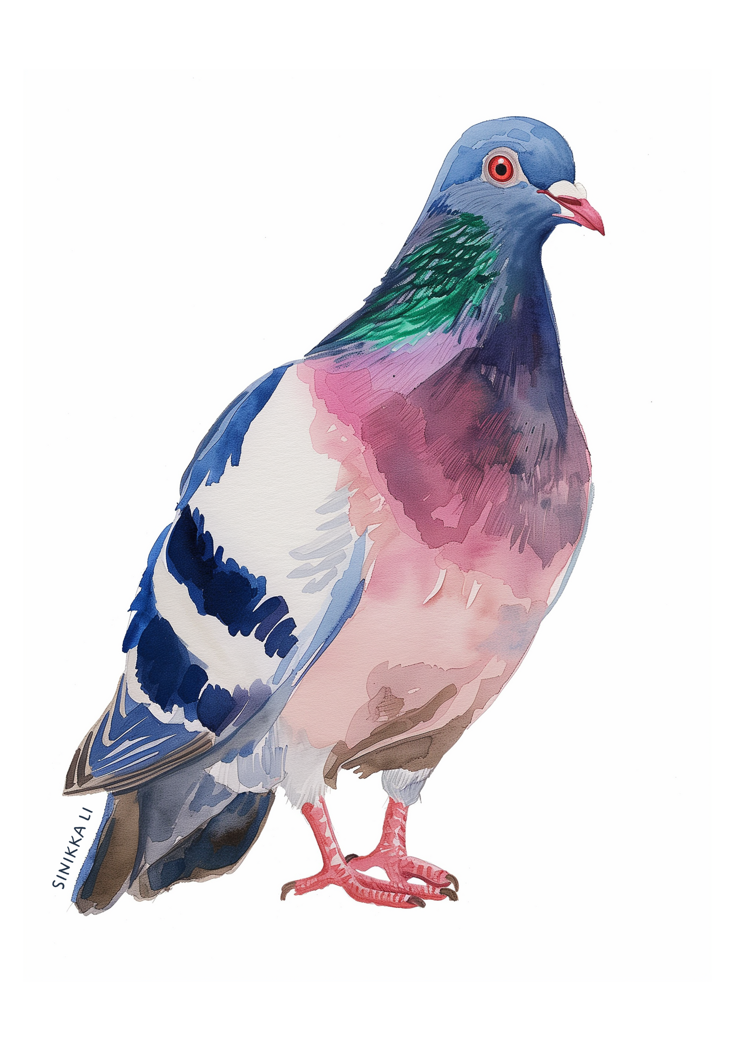 Pigeon Art Print 10