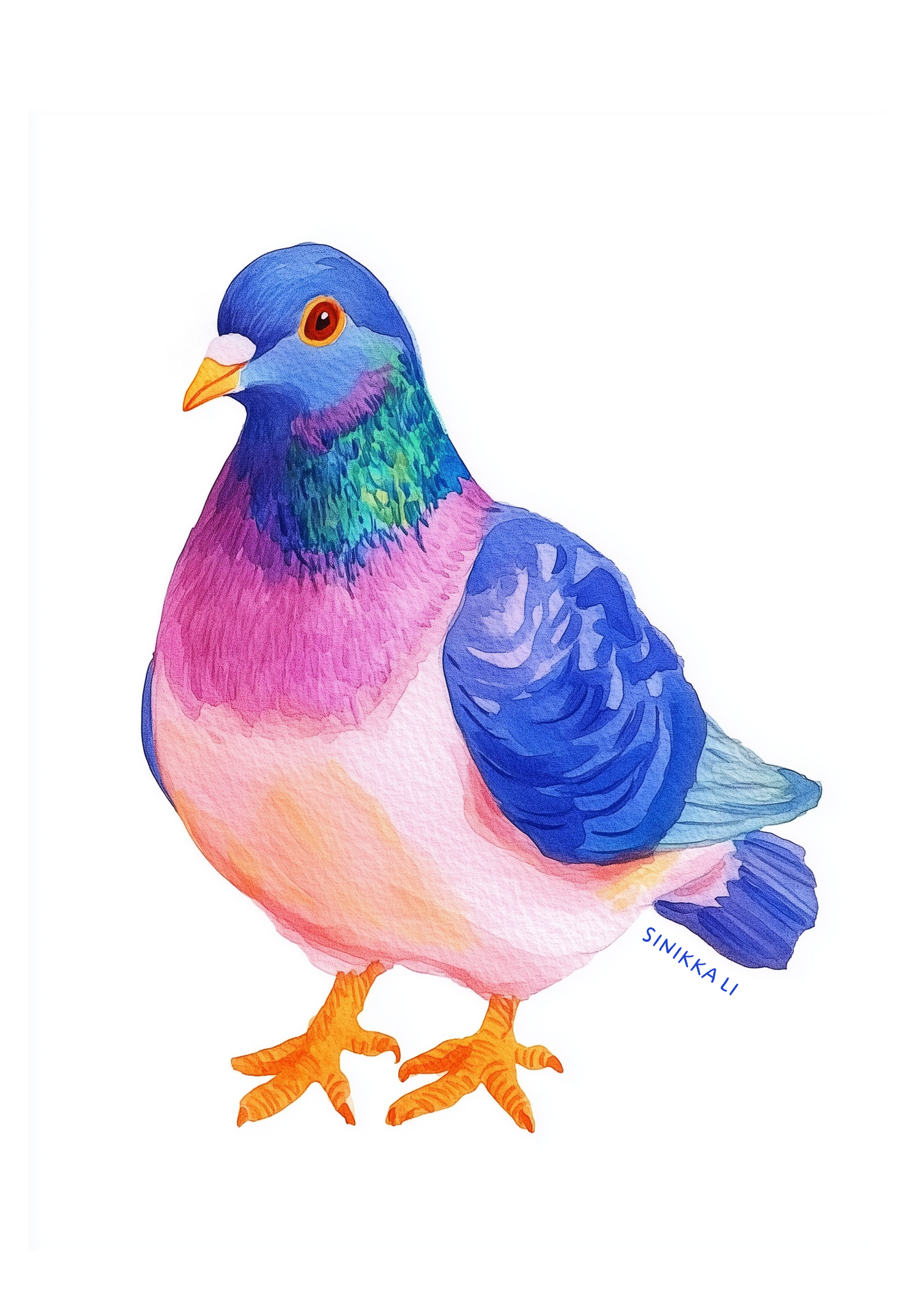 Pigeon Art Print 12