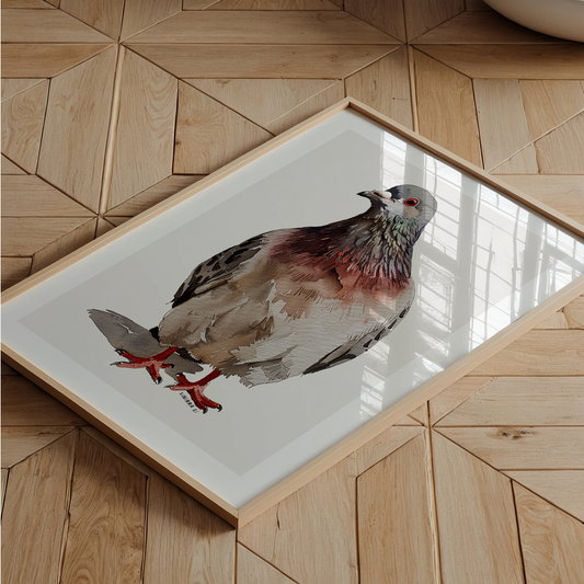 Pigeon Art Print 04