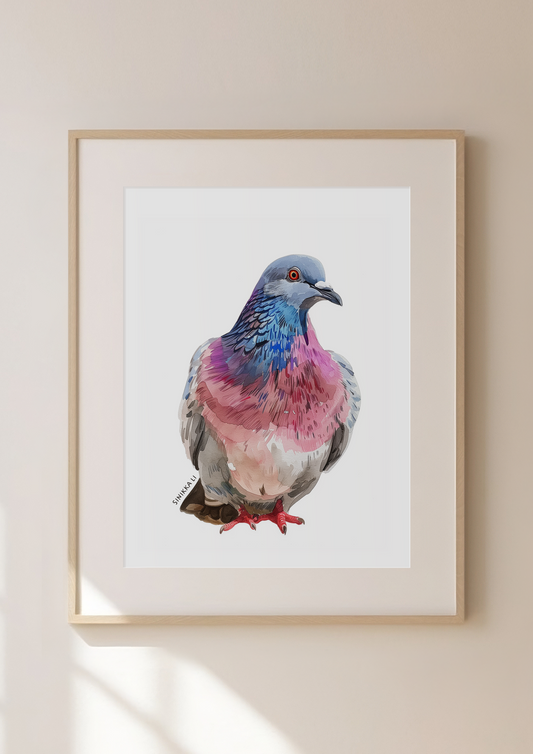 Pigeon Art Print 27