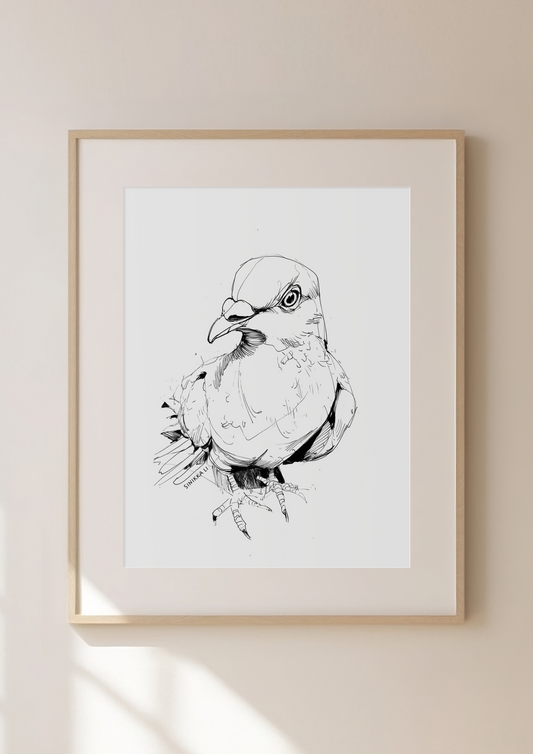 Pigeon Art Print 29