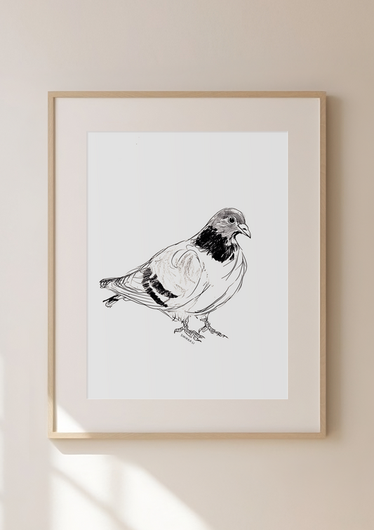Pigeon Art Print 06