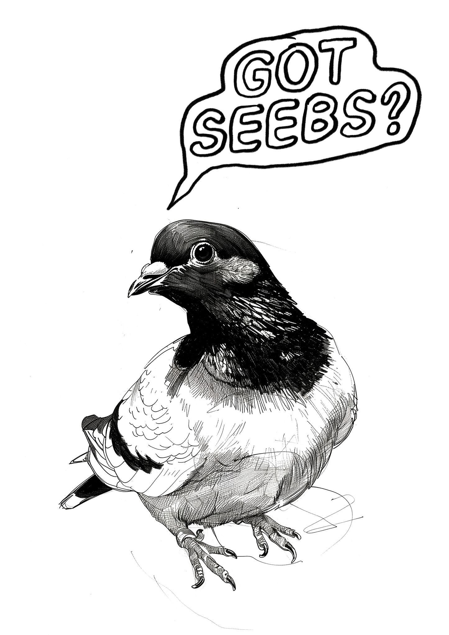 Pigeon Art Print 39